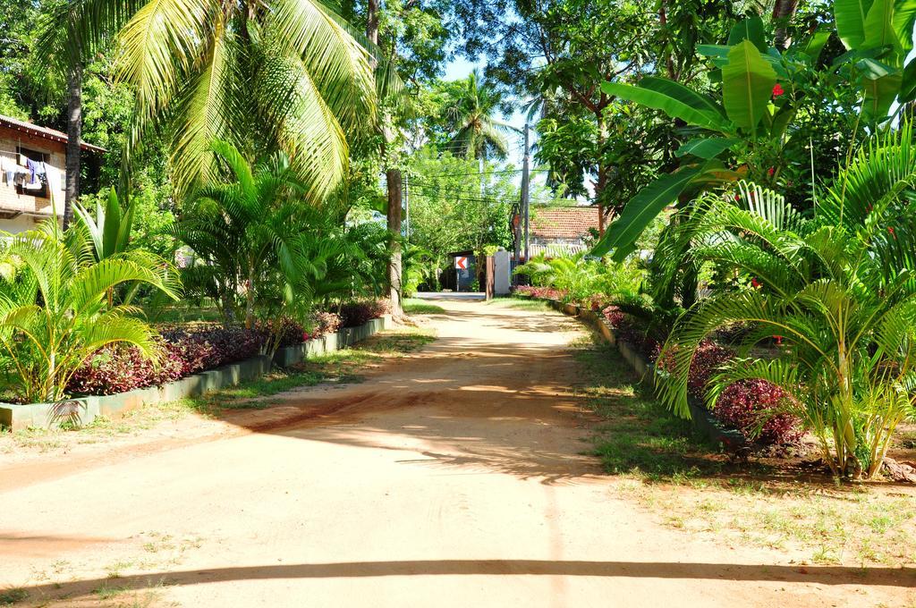 Leopard City Hostel Tissamaharama Exterior foto